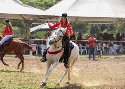 Capa do evento Cavalhada Mateus Leme